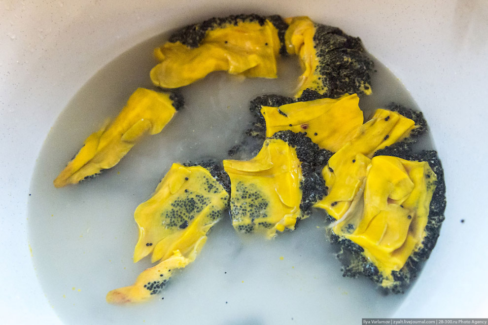 Как производят черную икру