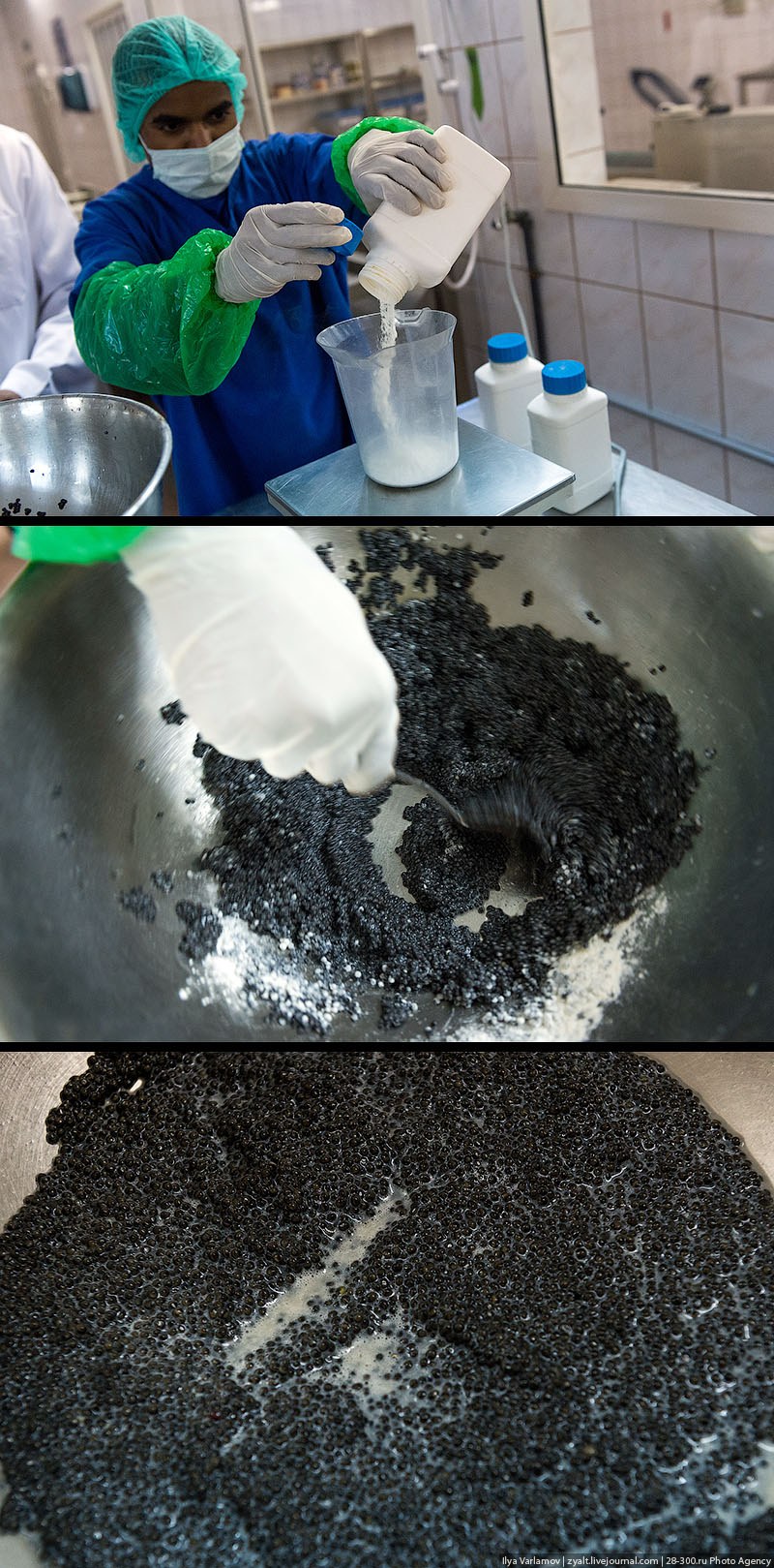 Как производят черную икру