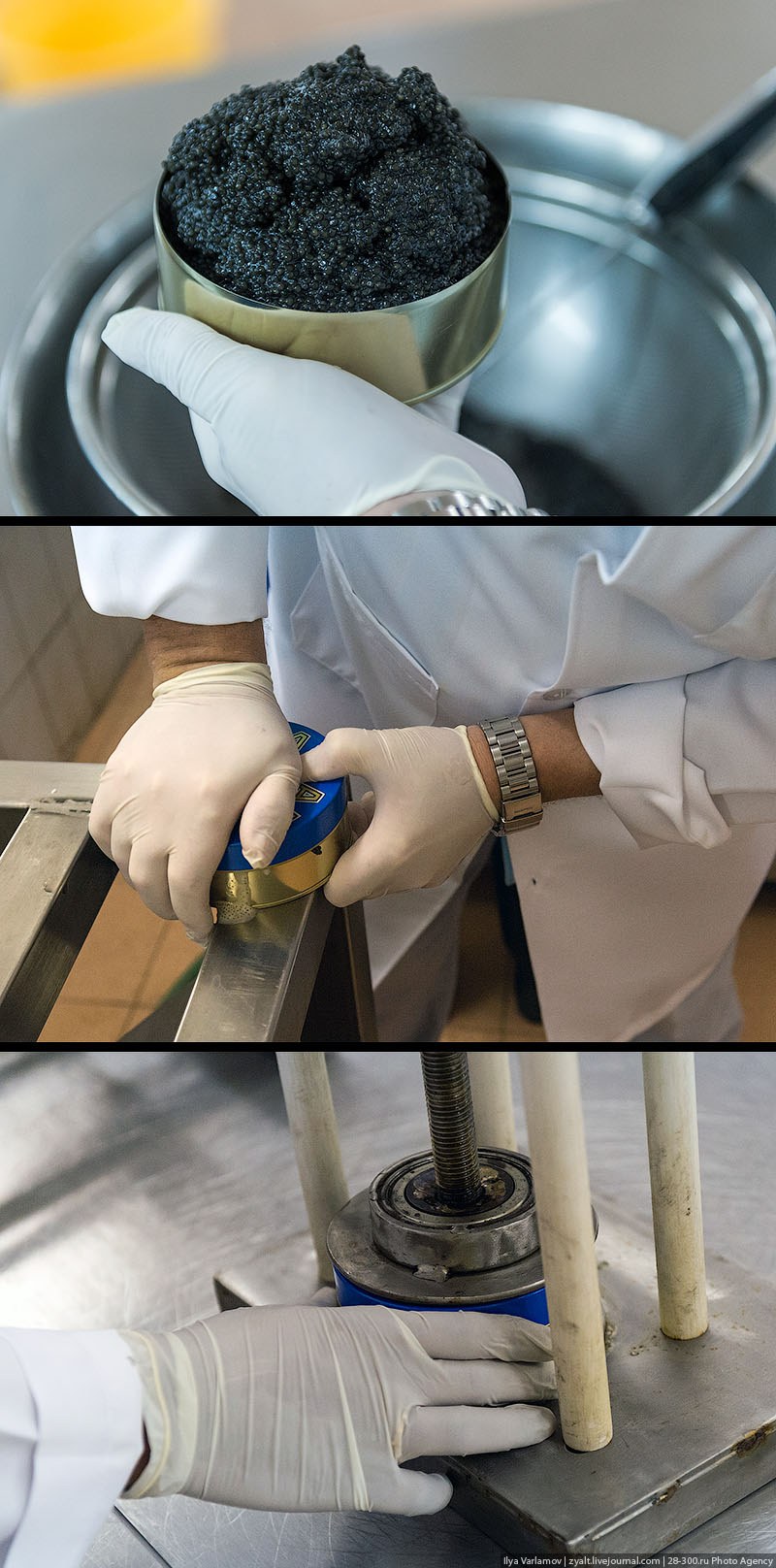 Как производят черную икру