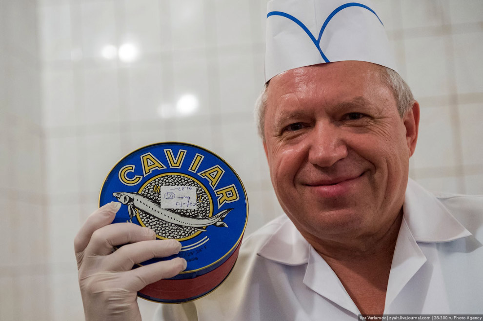 Как производят черную икру