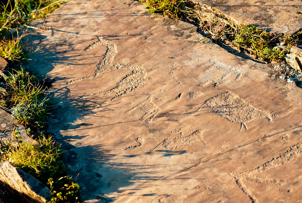 Камни под небом