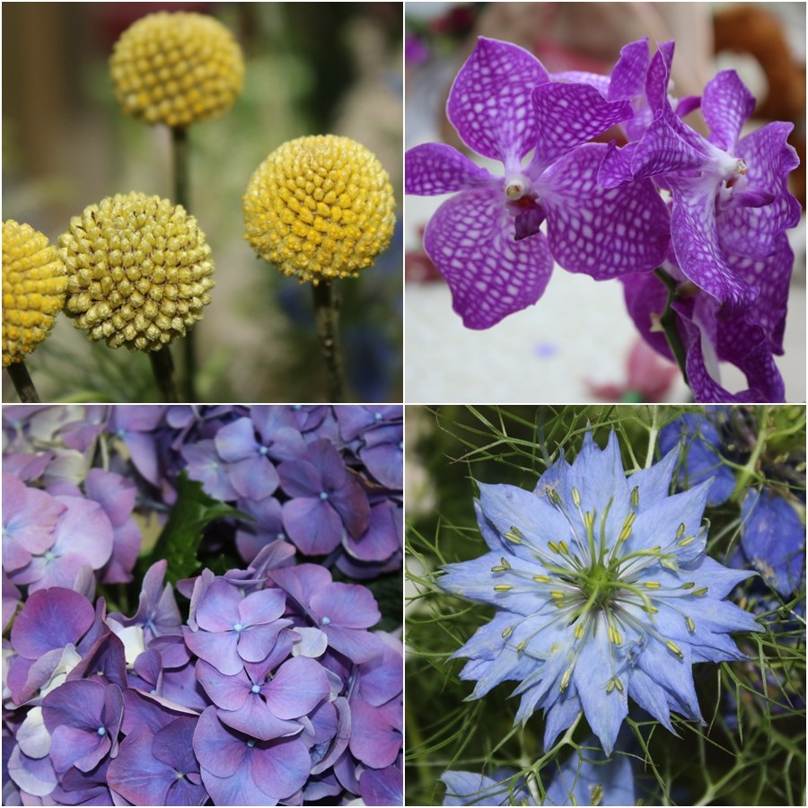 Цветы, приносящие радость! Цветы, приносящие радость!