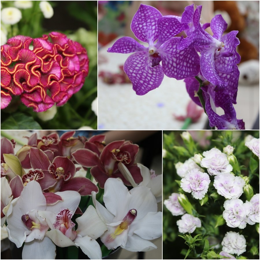 Цветы, приносящие радость! Цветы, приносящие радость!