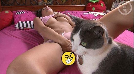 Коты, которые снимаются в порно (13 фото)