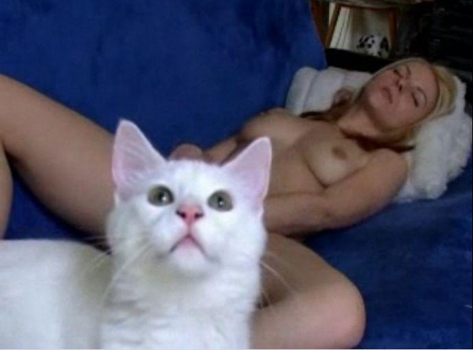 Коты, которые снимаются в порно (13 фото)