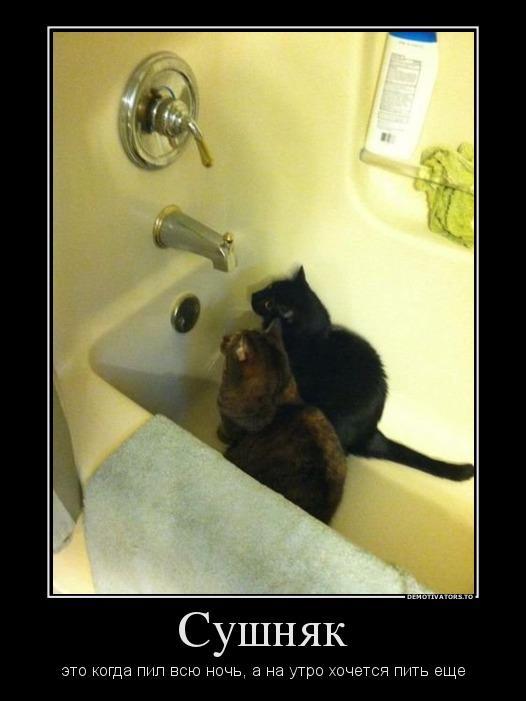 Демотиваторы (40 фото)