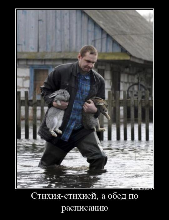 Демотиваторы (40 фото)