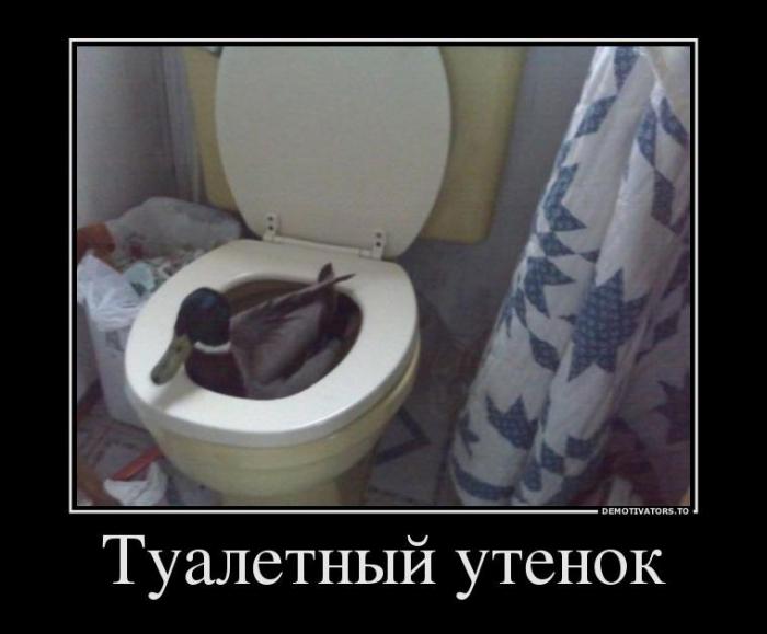 Демотиваторы (40 фото)