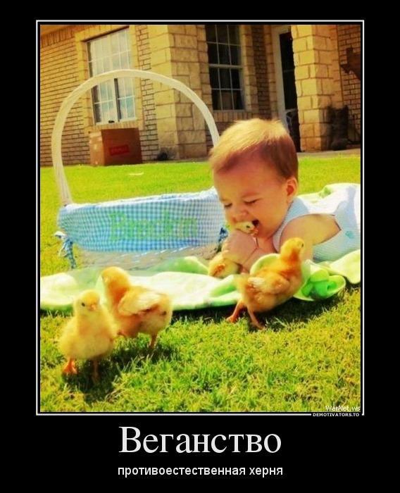 Демотиваторы (40 фото)