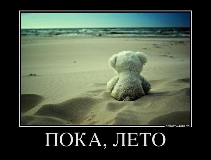 Демотиваторы (40 фото)