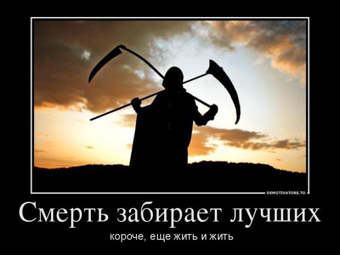 Демотиваторы (40 фото)