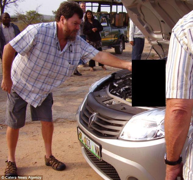 Залез погреться (6 фото)