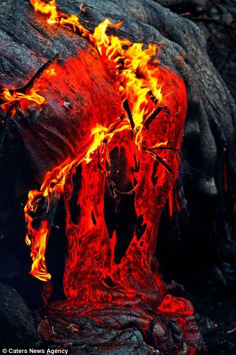 Удивительные фото (31 фото)