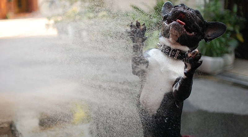 Счастливые лица