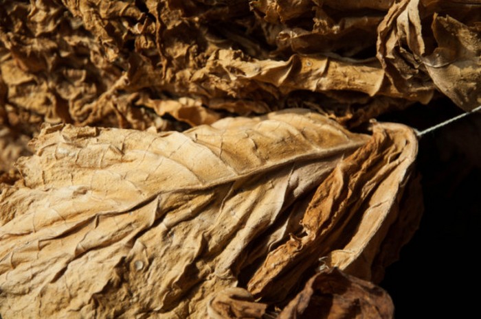 10 странных медицинских практик из прошлого, которые, к счастью, были заброшены