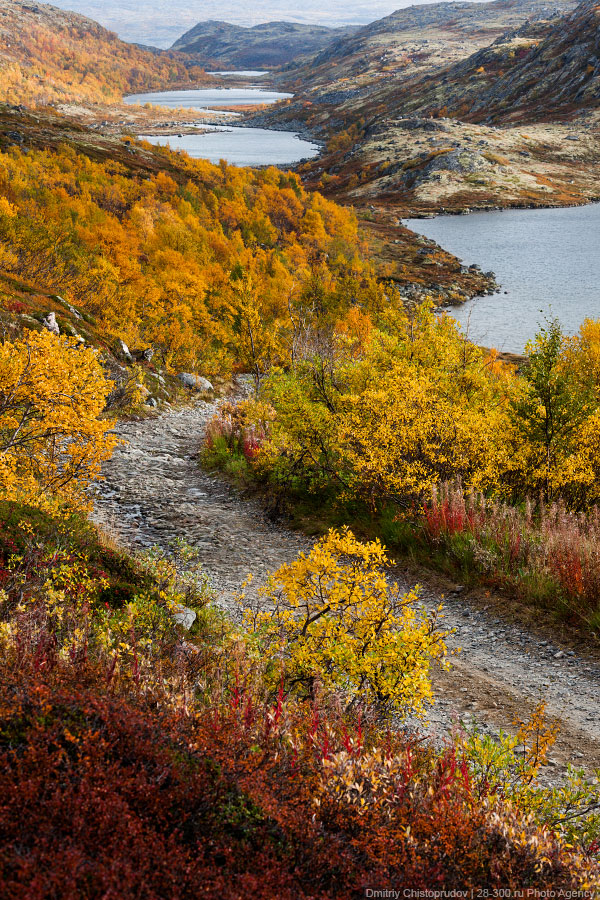 Золотая осень на Кольском полуострове. Дорога домой