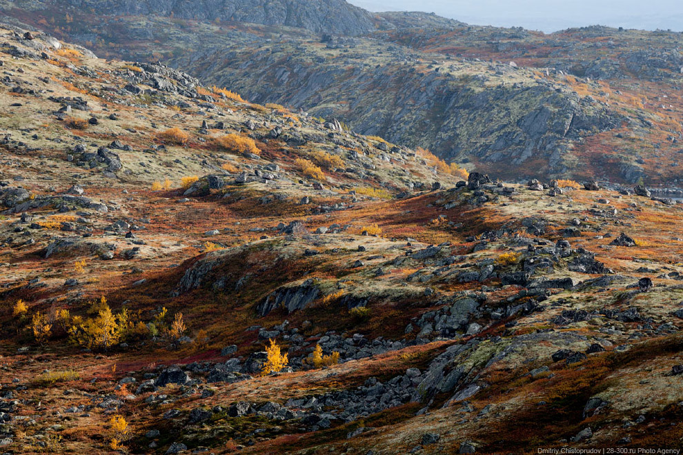 Золотая осень на Кольском полуострове. Дорога домой