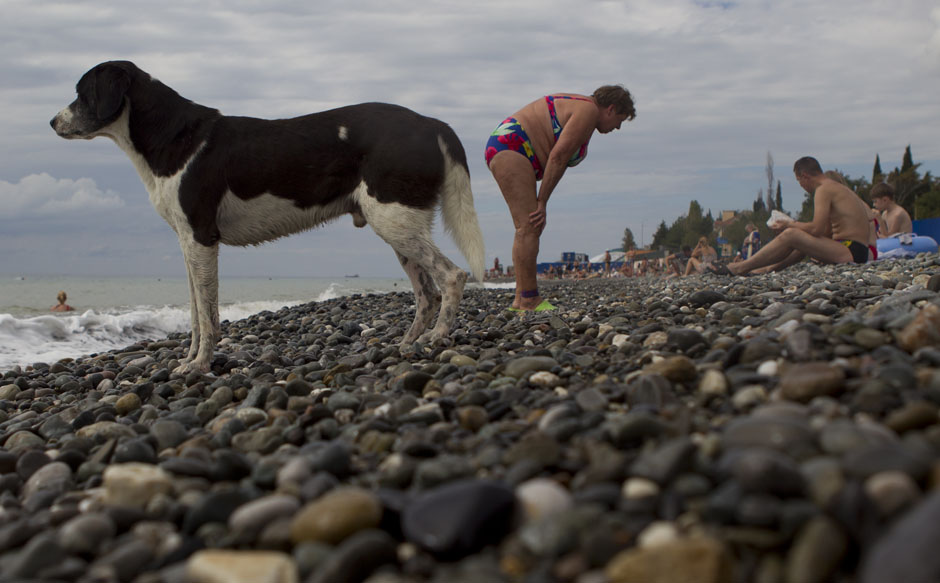 Сочи-2014: обратный отсчет Сочи-2014: обратный отсчет