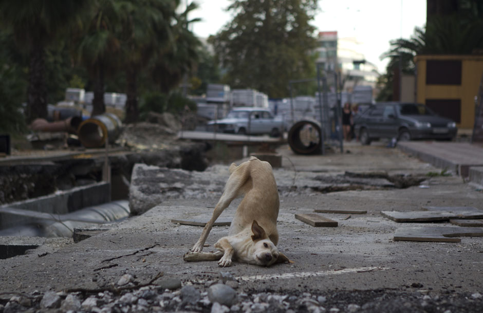 Сочи-2014: обратный отсчет Сочи-2014: обратный отсчет