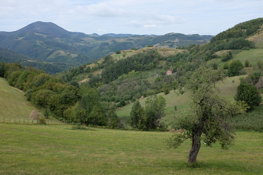 Деревня Эмира Кустурицы