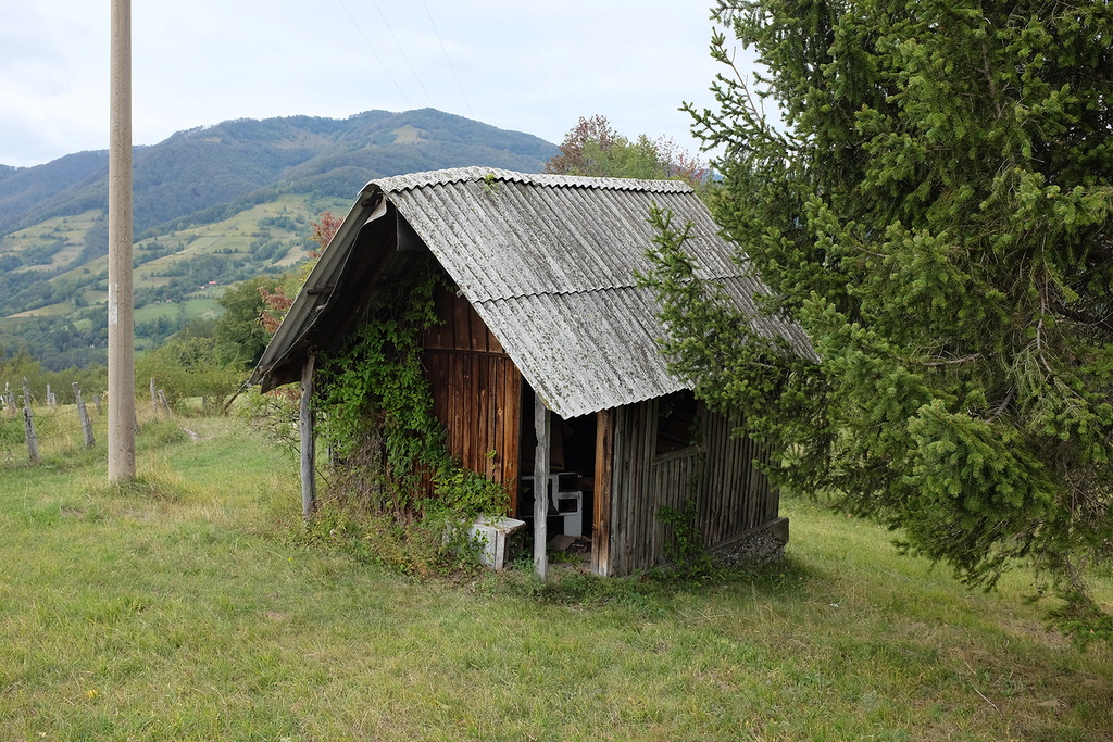 Деревня Эмира Кустурицы