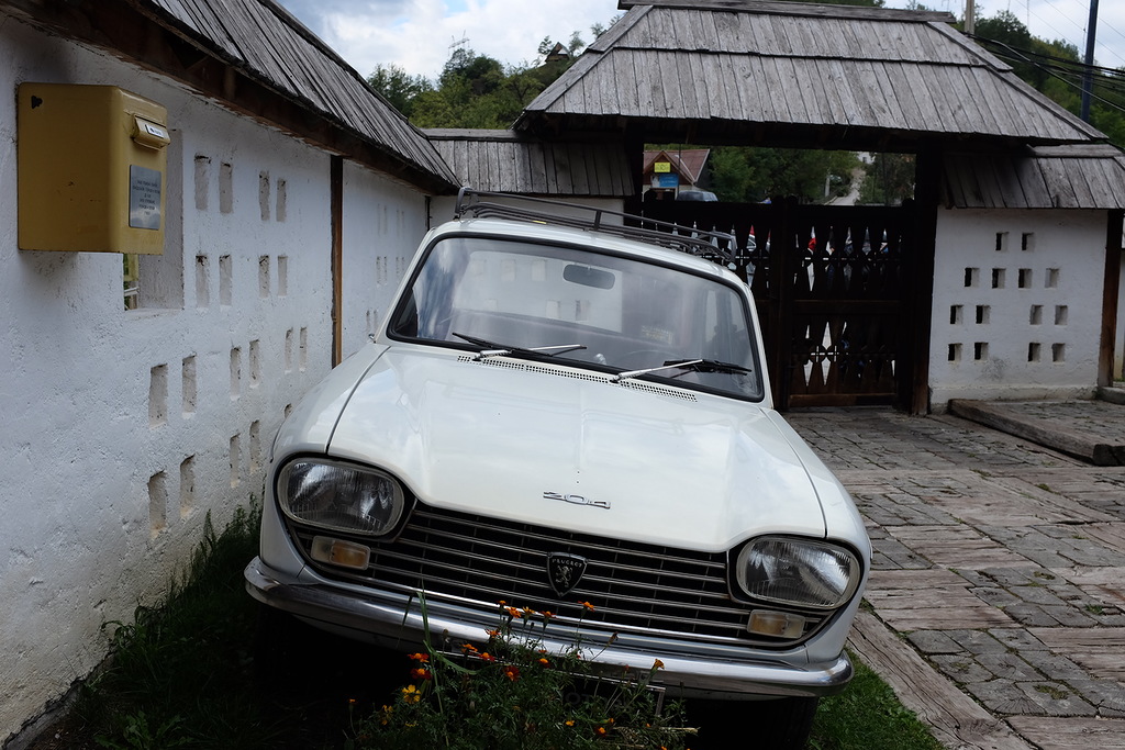 Деревня Эмира Кустурицы