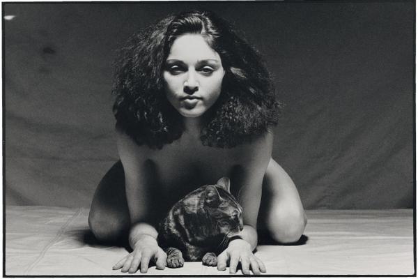 Коллекция эротических фотографий за три с половиной миллиона долларов (10 фото)