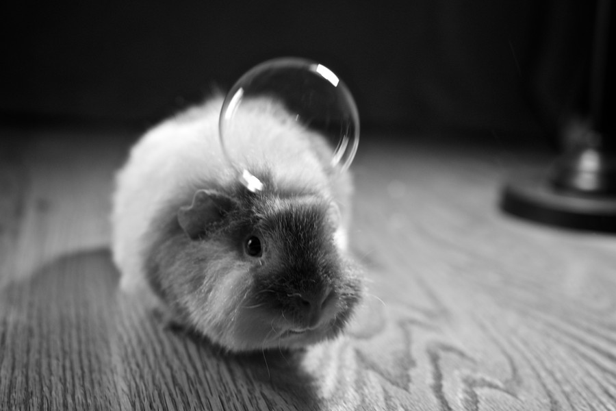 Иллюзии в фотографиях: кадры, на которые придётся посмотреть дважды (44 фото)