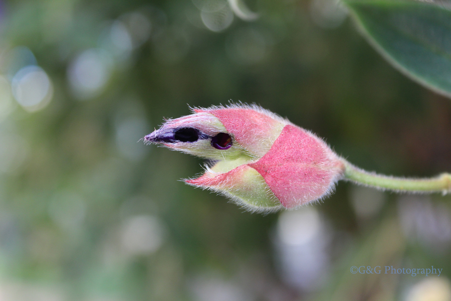 Иллюзии в фотографиях: кадры, на которые придётся посмотреть дважды (44 фото)