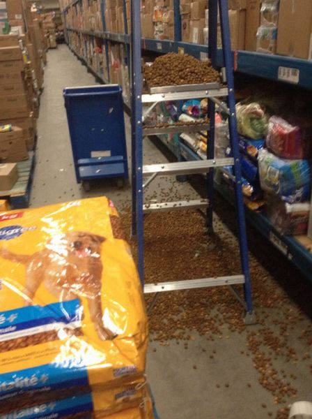 С каждым может случиться (38 фото)