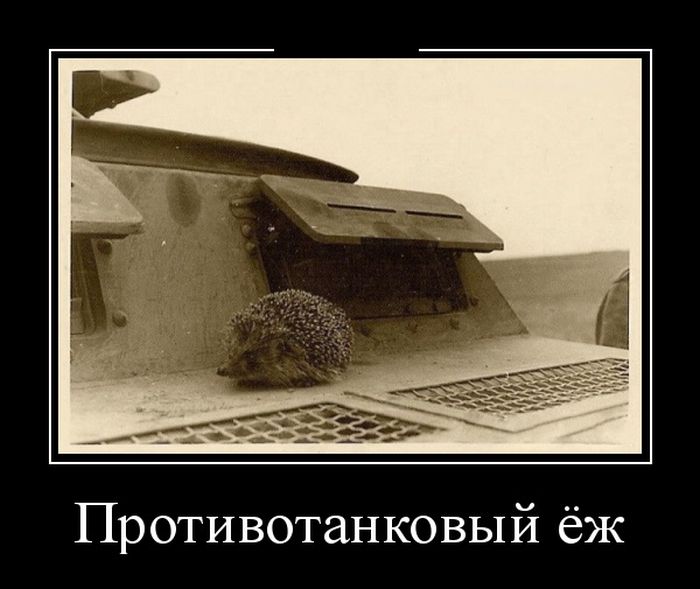 Демотиваторы