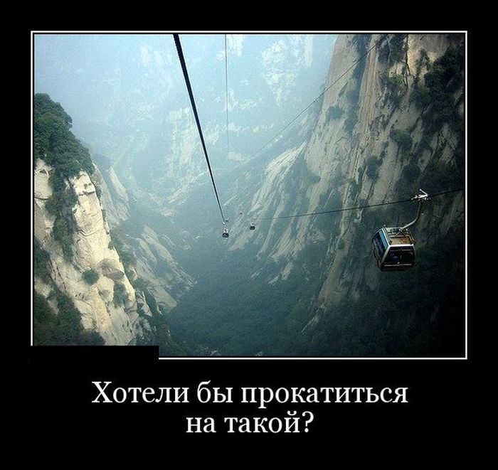 Демотиваторы