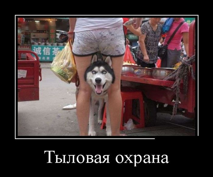 Демотиваторы