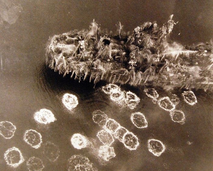 Подборка редких фотографий со всего мира Подборка редких фотографий со всего мира