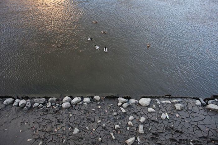 «Отлив» в Санкт-Петербурге