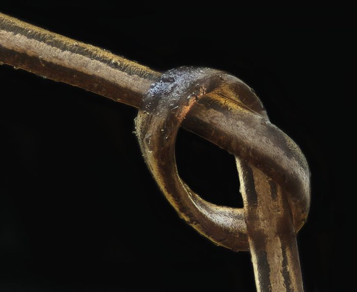 Подборка интересных фото