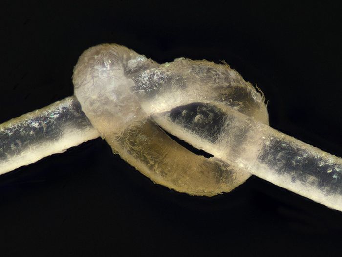 Подборка интересных фото