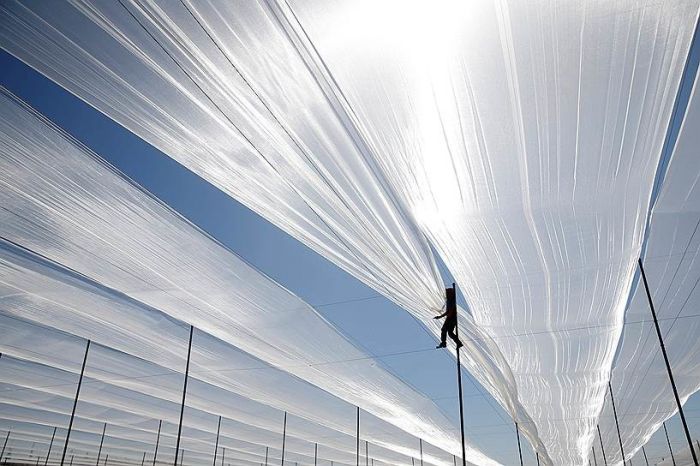 Подборка интересных фото