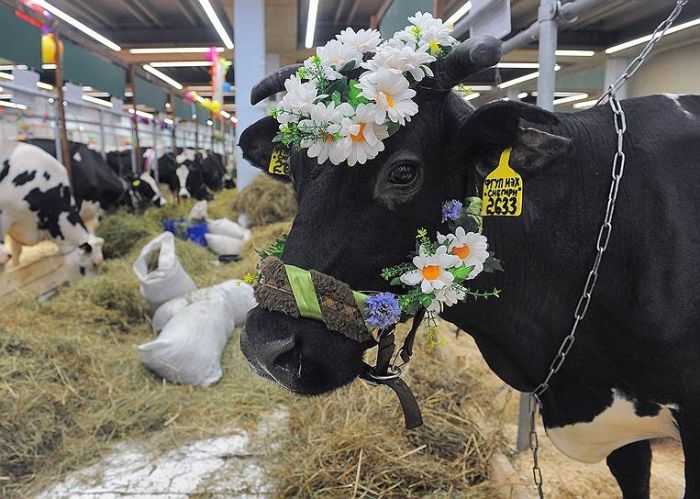 Подборка интересных фото