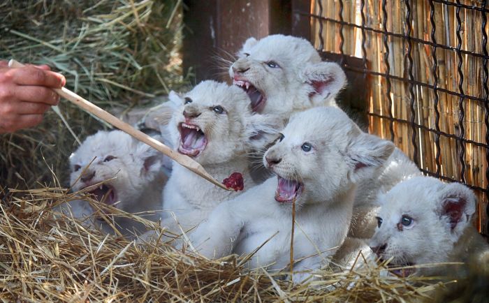 Подборка интересных фото