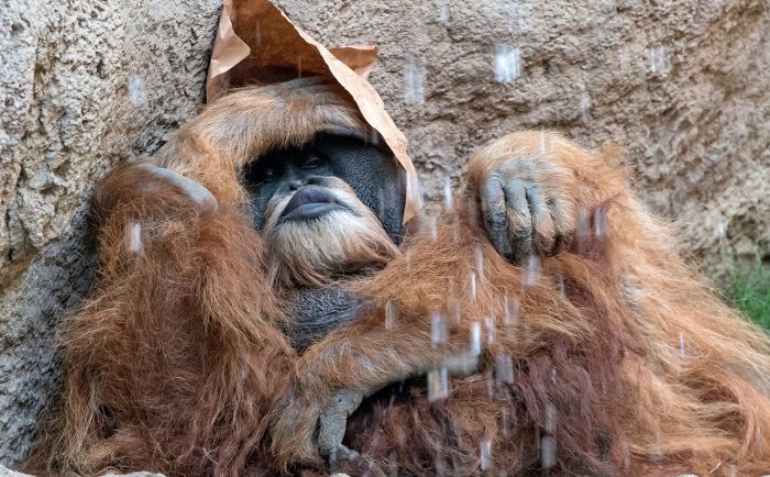 Подборка интересных фото