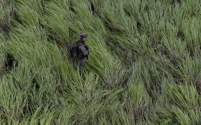 Подборка интересных фото