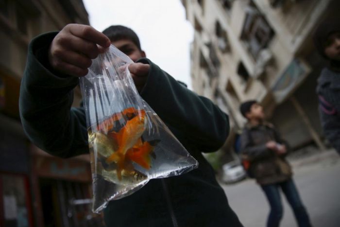 Игры сирийских детей