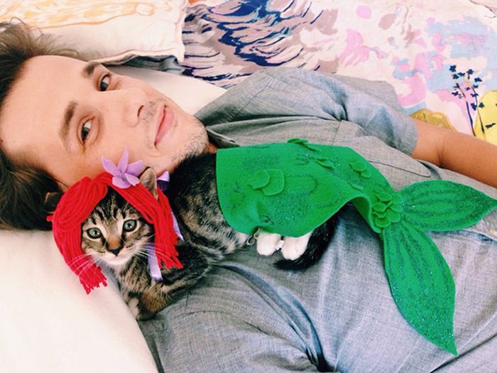 Оригинальные наряды для кошек на Хэллоуин
