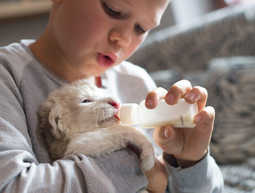 Животные в фотографиях