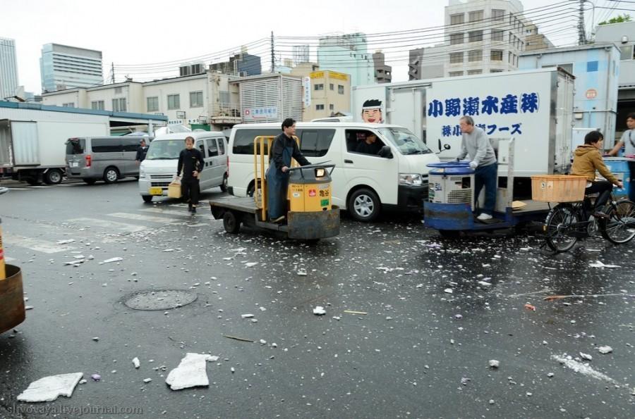 Люк, я твой отец! Японский отец