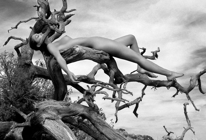 Фотограф Darren Keith