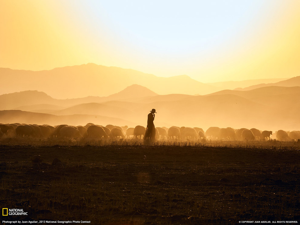 National Geographic: лучшие фотографии декабря