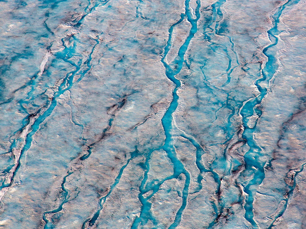 National Geographic: лучшие фотографии декабря