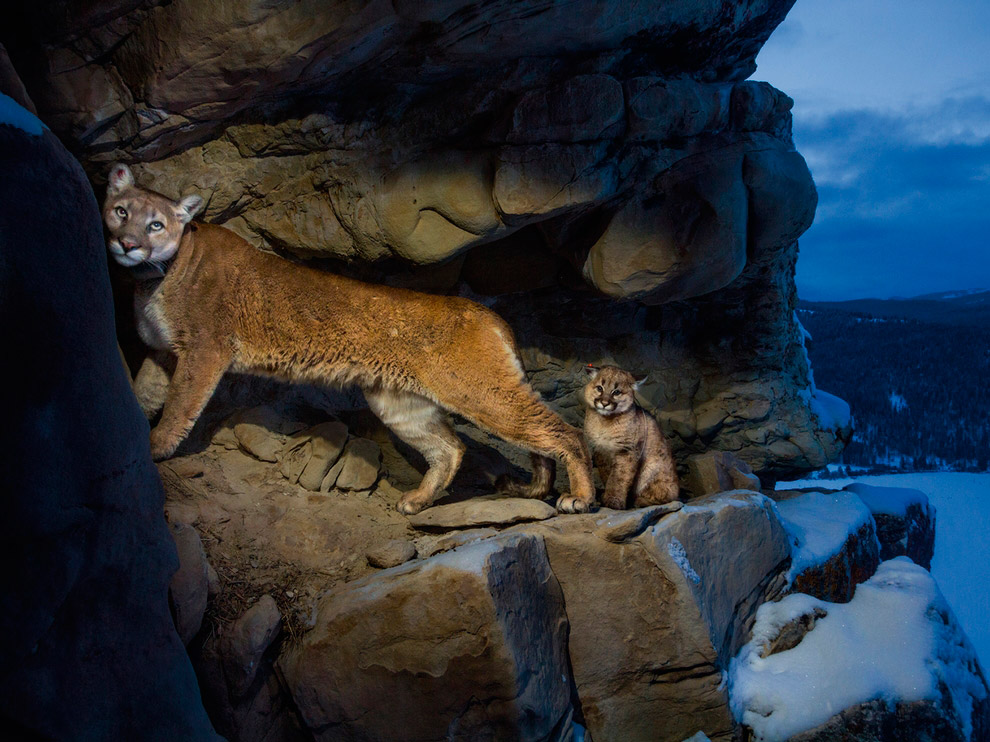 National Geographic: лучшие фотографии декабря